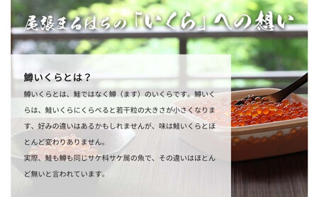 いくら 醤油漬け 500g(250g×2P) 小分け 鱒の卵 化粧箱入り 愛名古屋