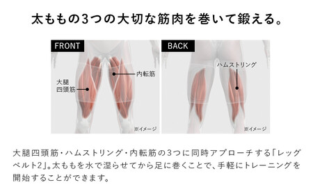 SIXPAD Leg Belt 2【M-Lサイズ】