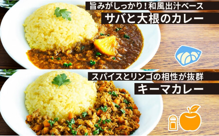《無地熨斗》 コーノスパイス スパイスカレー3種セット チキンカレー サバと大根のカレー キーマカレー 各200gパック 小麦粉不使用 グルテンフリー CONO SPICE コーノコーラ 愛知県 名古屋市