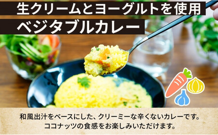 《無地熨斗》コーノスパイス ベジタブルカレー 200g×5パック スパイスカレー 和風出汁 クリーミー ココナッツ 小麦粉不使用 グルテンフリー CONO SPICE コーノコーラ 愛知県 名古屋市