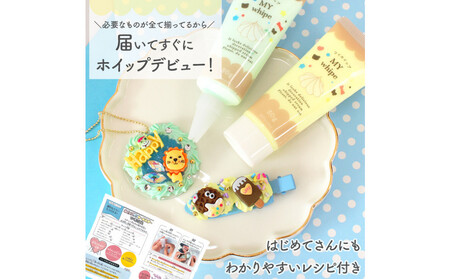 ホイップ デコ パーティ キット(クール) スターターセット ラッピング レシピ付き
