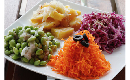 【なごやの水源・木曽三川流域連携事業寄附金専用】ロハスタイルオリジナルたれドレッシング4本セット