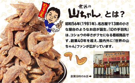 世界の山ちゃん　おつまみチキン　ジャーキー仕立て（21g×10袋）