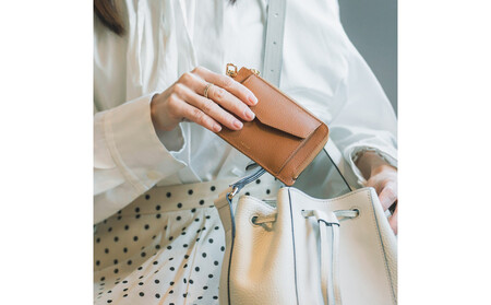 Y-STYLE フラグメントケース【グレージュ】