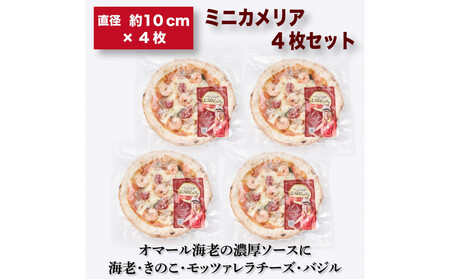 王冠ピッツァ ミニカメリヤ4枚セット