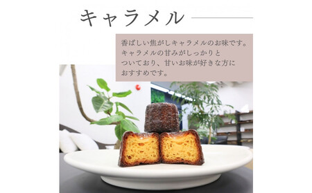 【星が丘ミニカヌレ アソートセット10個入り】フランスの焼き菓子 スイーツ 美味しい おすすめ 冷凍 愛知県 人気 高級