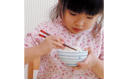 ナルミ クラウンキッズ めしわん(しましま大) 200cc 40860-3699