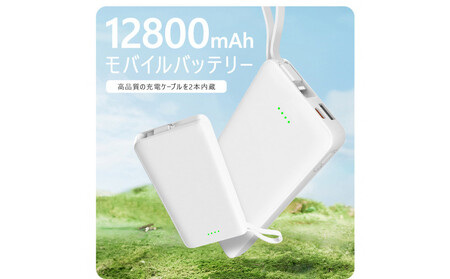 モバイルバッテリー 12800mAh 47.36Wh 大容量 iPhone16充電 Type-C出力 PD 22.5W 携帯充電器 パワーバンク 防災電源 完全ケーブル不要型 USB-A / Type-C / iPhone 出力 Type-C入力 QC3.0 急速充電 デジタル残電量表示 軽量 ポータブル電池 【PL保険加入済み製品・安心】