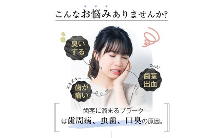 【2025最新】口腔洗浄器 ウォーターピック ジェットウォッシャー＜ブラック＞ 4本ノズル付き 4つモード調節可能 IPX7防水仕様 歯垢除去 Type-C充電 残電量表示 携帯型 歯周ポケット洗浄 磨き残しゼロを目指す 手軽なハンディタイプ 省スペース 280ml水タンク 日本語取扱説明書付き