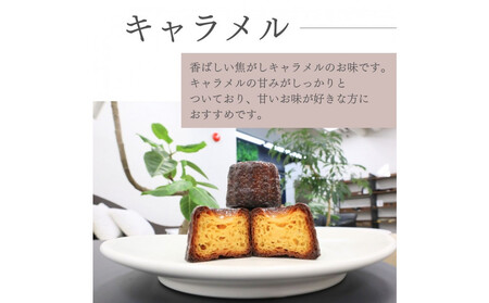 【星が丘カヌレ アソートセット10個入り 5種のフレーバー】フランスの焼き菓子 スイーツ 美味しい おすすめ 冷凍 愛知県 人気 高級