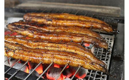 【全4回定期便】 国産うなぎひつまぶし 五食分 ねぎ・わさび・のり・お出汁・たれ・山椒 【炭火・職人手焼き】和食竜むら