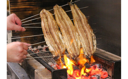 【全4回定期便】 国産うなぎひつまぶし 五食分 ねぎ・わさび・のり・お出汁・たれ・山椒 【炭火・職人手焼き】和食竜むら