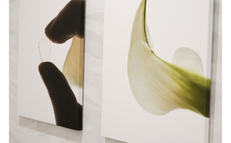 ブラックフィルム施術券(16本)