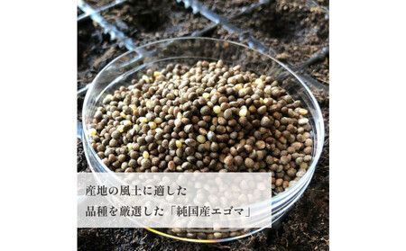 タネから開発した国産エゴマ油100g×3本　毎日のオメガ3脂肪酸摂取に