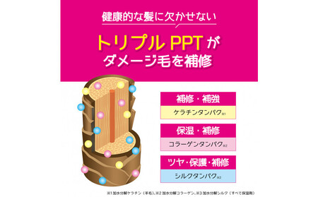 Tottimo! カラーシャンプー ピンク 500ml