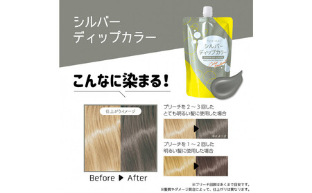 Tottimo! ディップカラー シルバー 500g