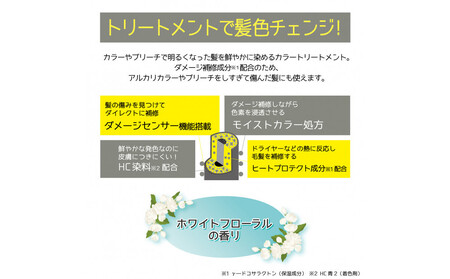 Tottimo! ディップカラー シルバー 500g