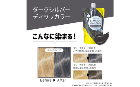 Tottimo! ディップカラー ダークシルバー 500g