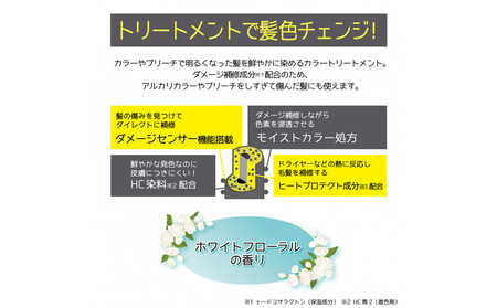 Tottimo! ディップカラー ダークシルバー 500g