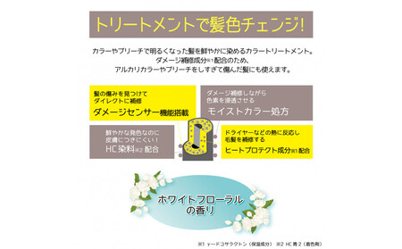 Tottimo! ディップカラー　ミルクティ　500g