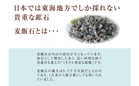 麦飯石のもち泡洗顔 100g×2本