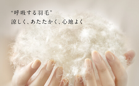 リファ VITALPILLOW PREMIUM