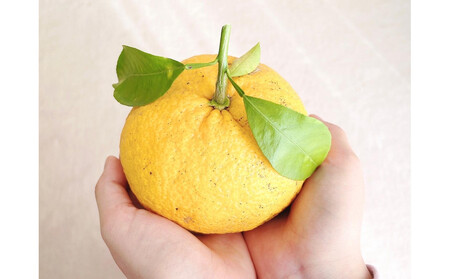 夏みかん ルームフレグランスミスト