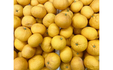 夏みかんエッセンシャルオイル