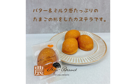 名古屋コーチン卵 カステラ(10個入り)