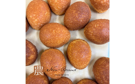 名古屋コーチン卵 カステラ(10個入り)