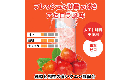 ハルクファクター EAA アセロラ風味 人工甘味料不使用 520g BCAA 国産 サプリメント