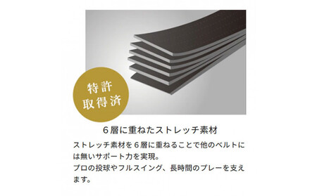 コアエナジー３ ネイビーシルバー