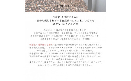 ごろ寝そば殻枕 やわらぎ大 コバルトブルー