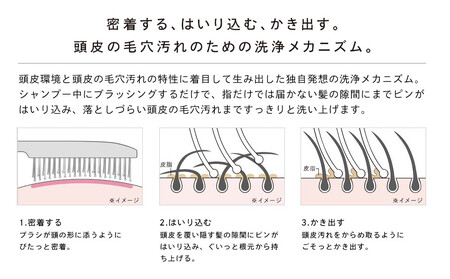 リファイオンケアブラシ