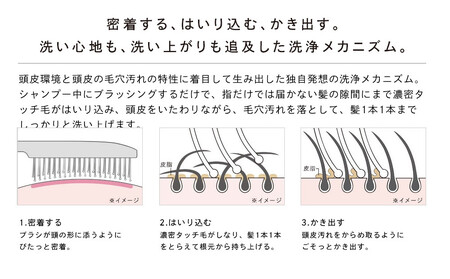 【ホワイト】リファイオンケアブラシプレミアム