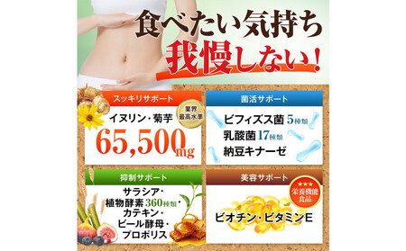 ハルクファクター イヌリン 65,500mg 水溶性 食物繊維 大容量 300粒 国内製造 カテキン 菊芋 ビフィズス菌 乳酸菌 酵素 サラシア ビタミン 全391種 サプリ 錠剤