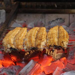 炭焼名古屋式青うなぎ三昧贅沢食べ比べセット | 愛知県名古屋市