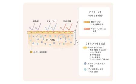 ナチュラグラッセ UV プロテクションベースN | 愛知県名古屋市