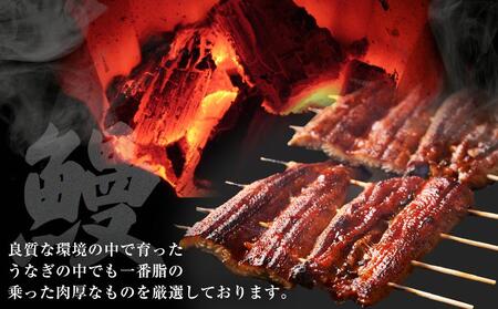 国産特大うなぎ　ひつまぶしセット（６セット）