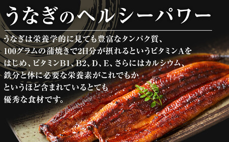 国産特大うなぎ蒲焼き（うな丼用５セット）