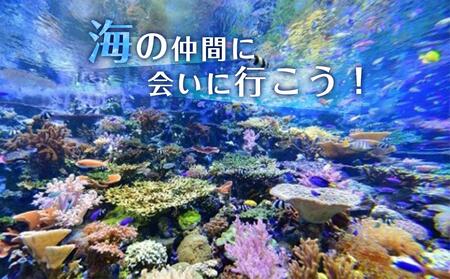 名古屋港水族館入館券（大人入館券２枚） | 愛知県名古屋市 | ふるさと