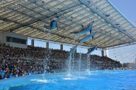 名古屋港水族館（年間パスポート引換券）