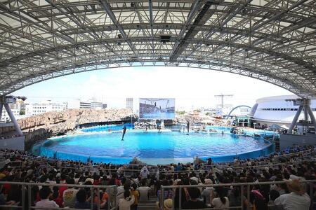 ４施設共通入館券（大人入館券）