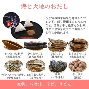 だしソムリエ推奨 だしパック 海と大地の恵み 45袋入り