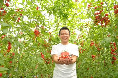 飯田農園　幻のトマト　有機栽培高糖度miuトマトのドライトマト１箱【有機JAS】