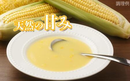 【大自然のコーンの甘み】ストレートコーンスープ5人前 トウモロコシの甘み まろやか