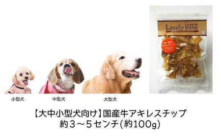 精肉店がこだわった【大中小型犬向けおやつ】国産牛アキレスチップ 100g 無添加 手作り