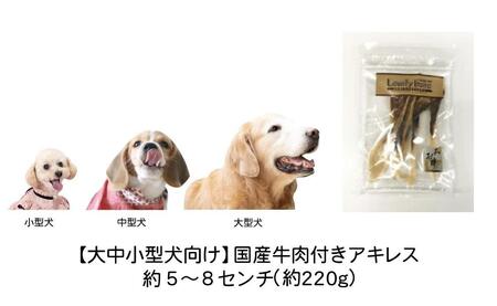 大中小型犬向け 国産牛肉付きアキレス 0g 愛知県名古屋市 ふるさと納税サイト ふるなび