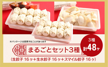 カリットギョウザ まるごとセット３種（48ケ）餃子 水餃子 スマイル餃子