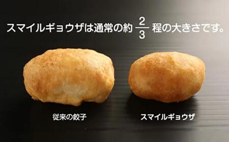 カリットギョウザ まるごとセット３種（48ケ）餃子 水餃子 スマイル餃子